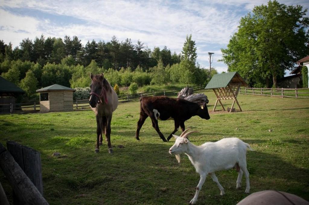 Zielone Wzgorza Villa Bytów Eksteriør bilde